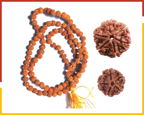 5 Mukhi Rudraksha mala