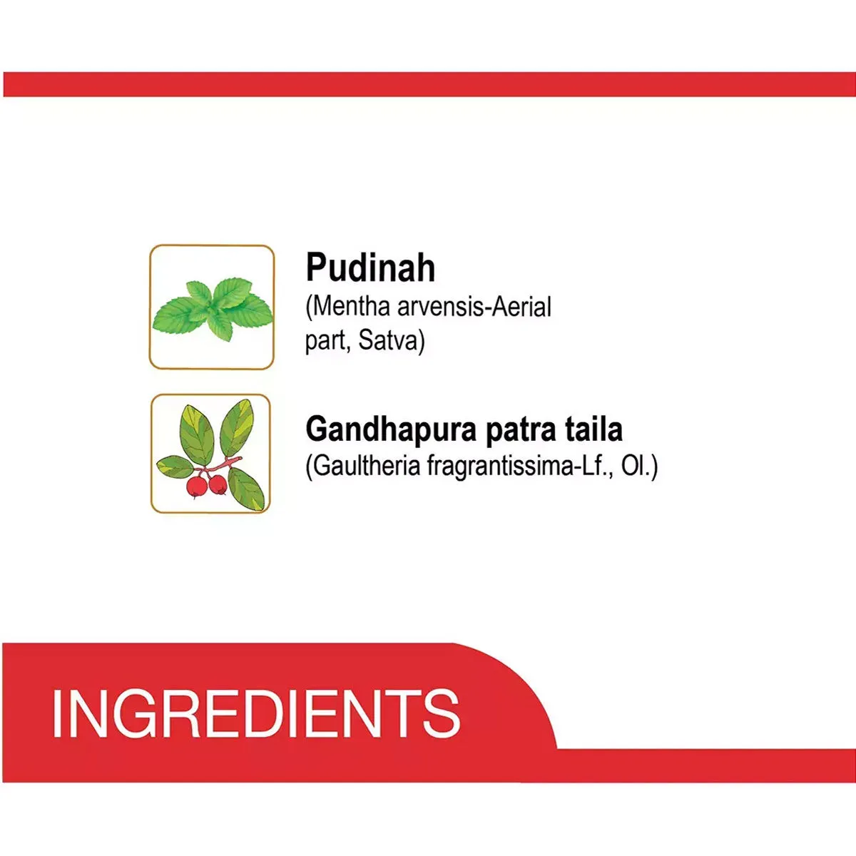 Amrutanjan Maha Strong Pain Balm Red - Image 4
