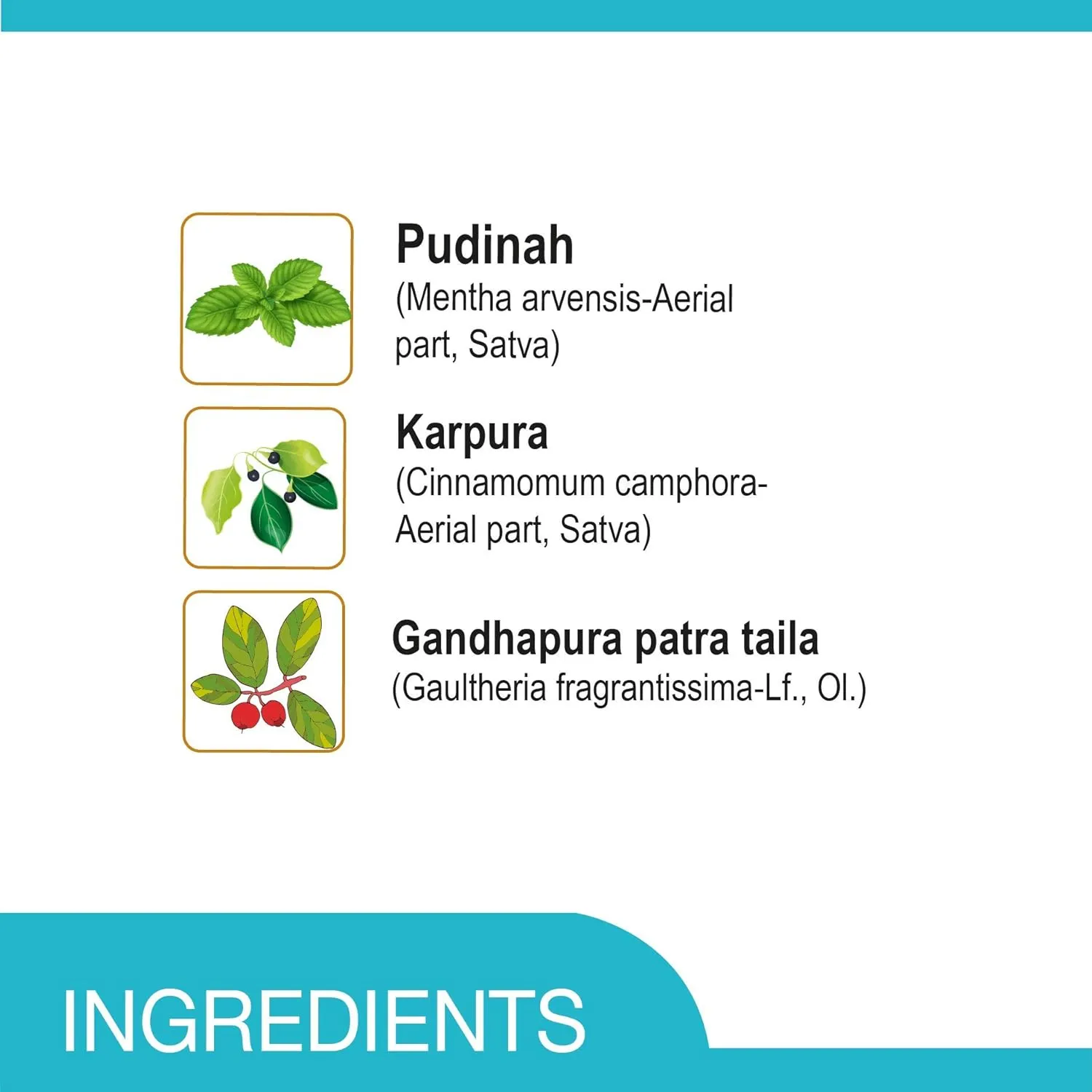 Amrutanjan Relief Cough & Cold Nasal Inhaler - Image 4