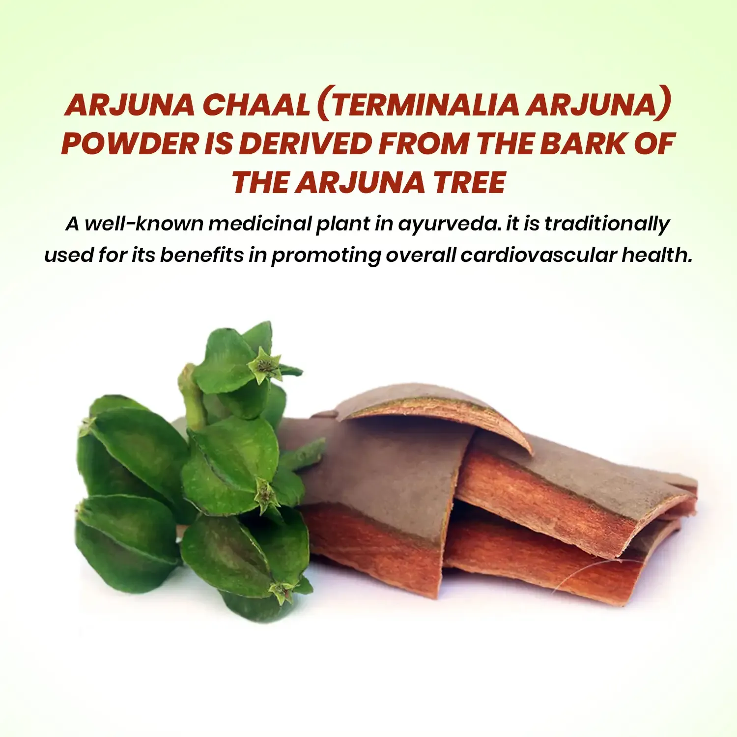 AVG Health Organics Arjuna Chhal Powder - Image 2