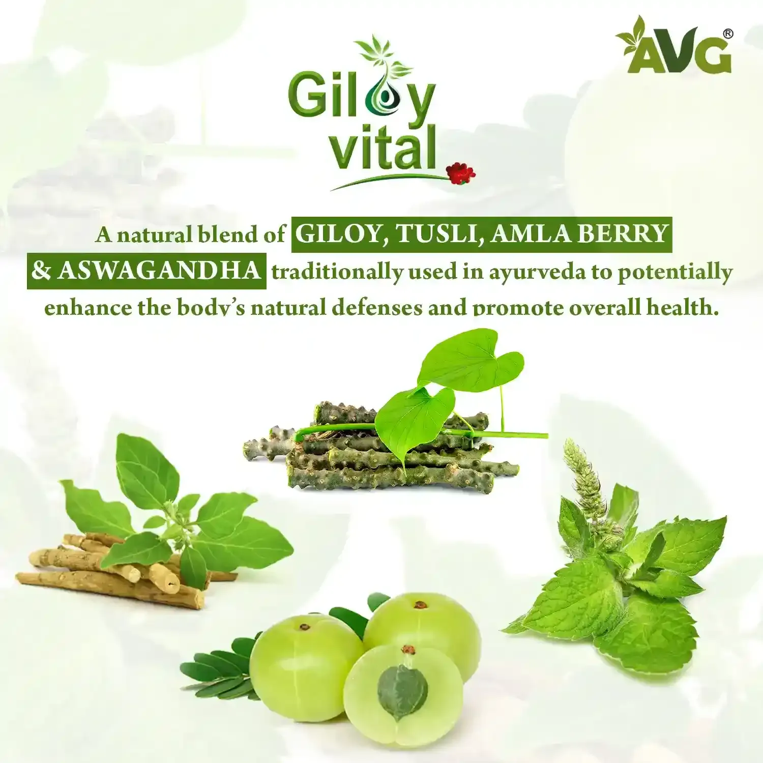 AVG Health Organics Giloy Vital - Image 2
