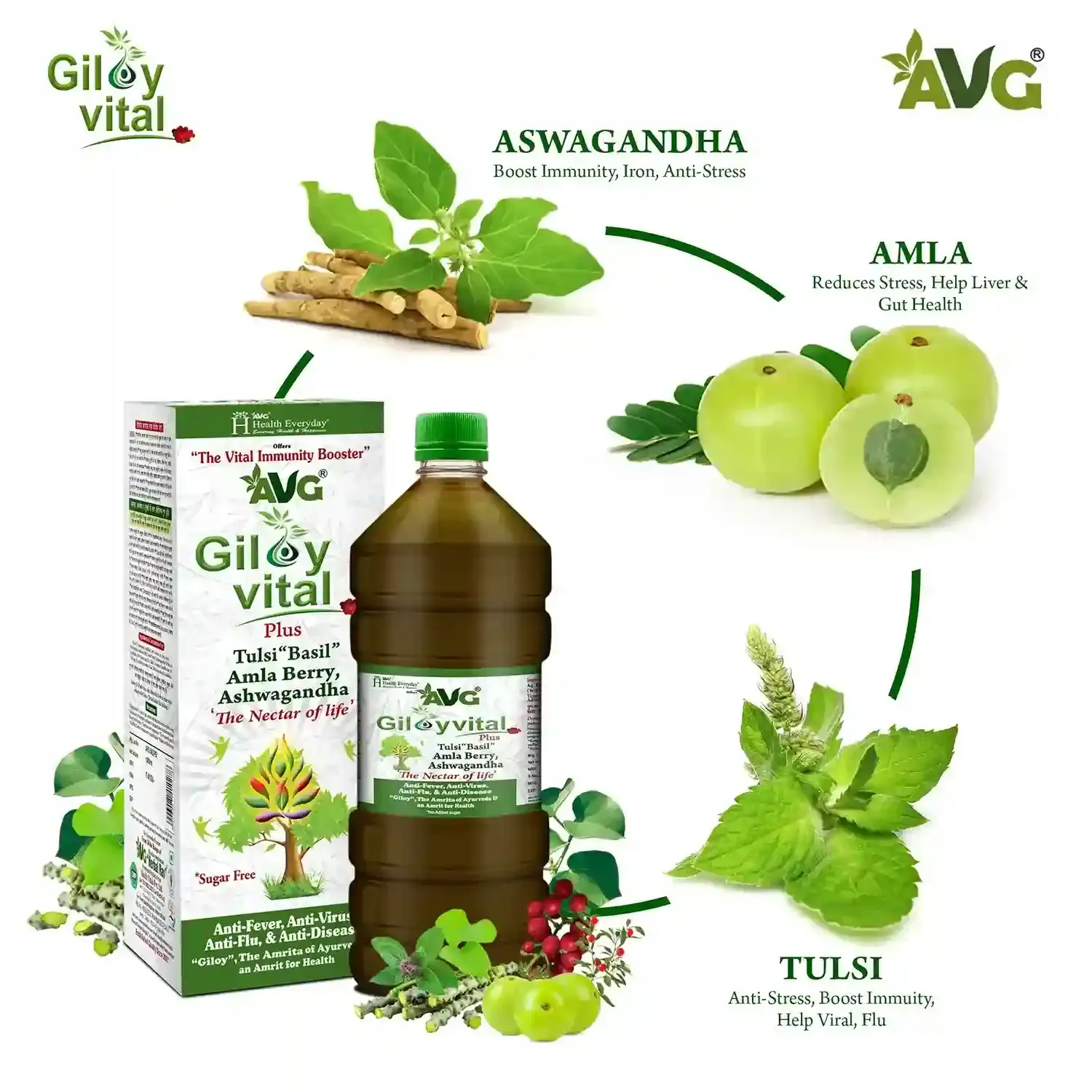 AVG Health Organics Giloy Vital - Image 3