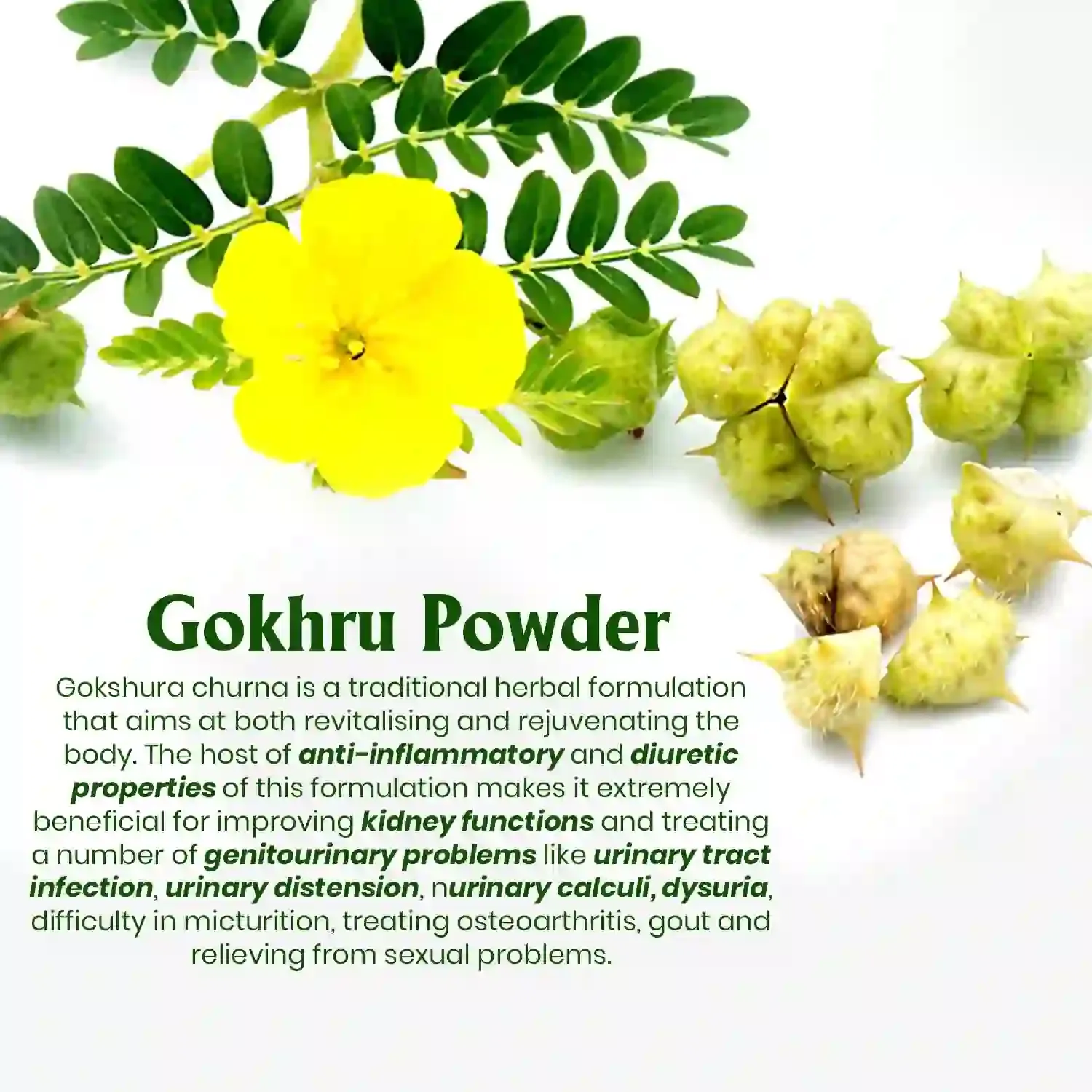 AVG Health Organics Gokhshru - Image 4