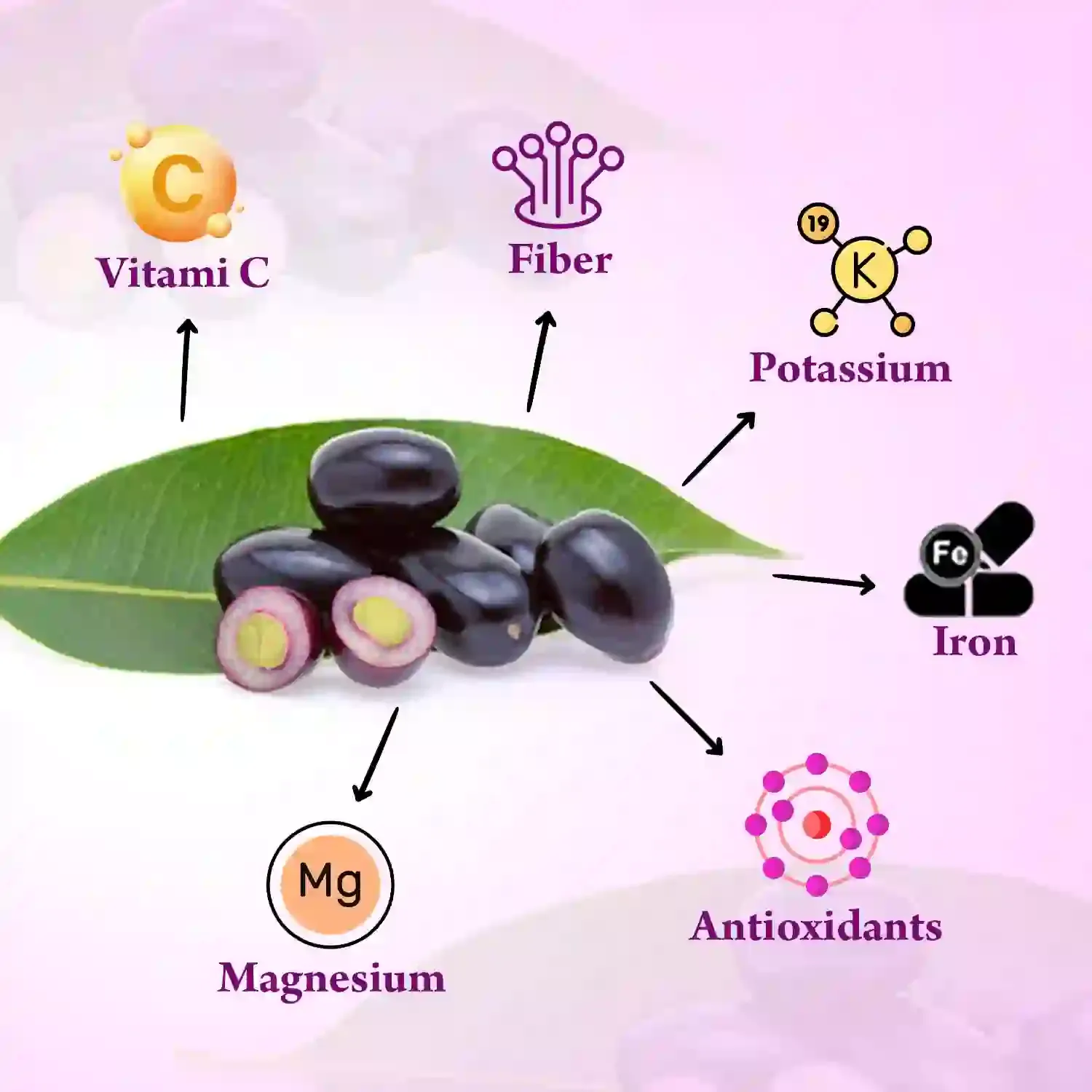 AVG-Health-Organics-Jamun-Seed-Powder-100-g-5.webp