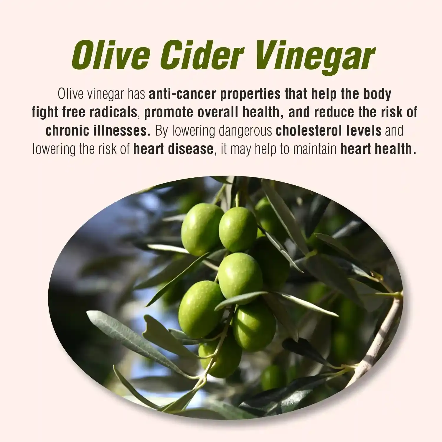 AVG Health Organics Olive Vinegar With Mother - Image 3