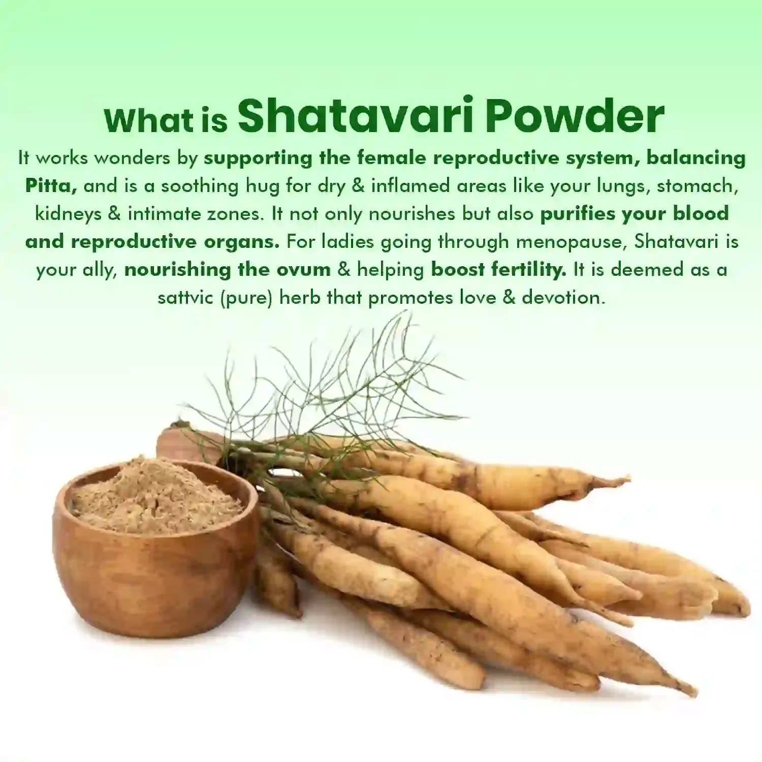 AVG Health Organics Shatavri powder - Image 3
