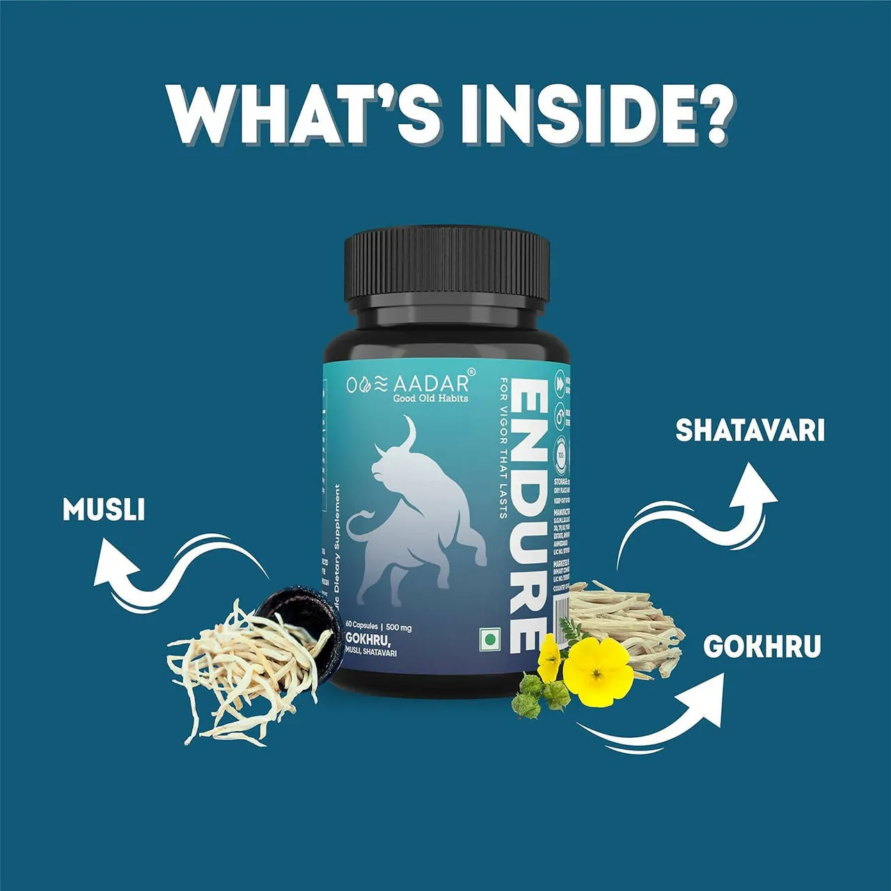 Aadar Endure 500mg Capsules - Image 3