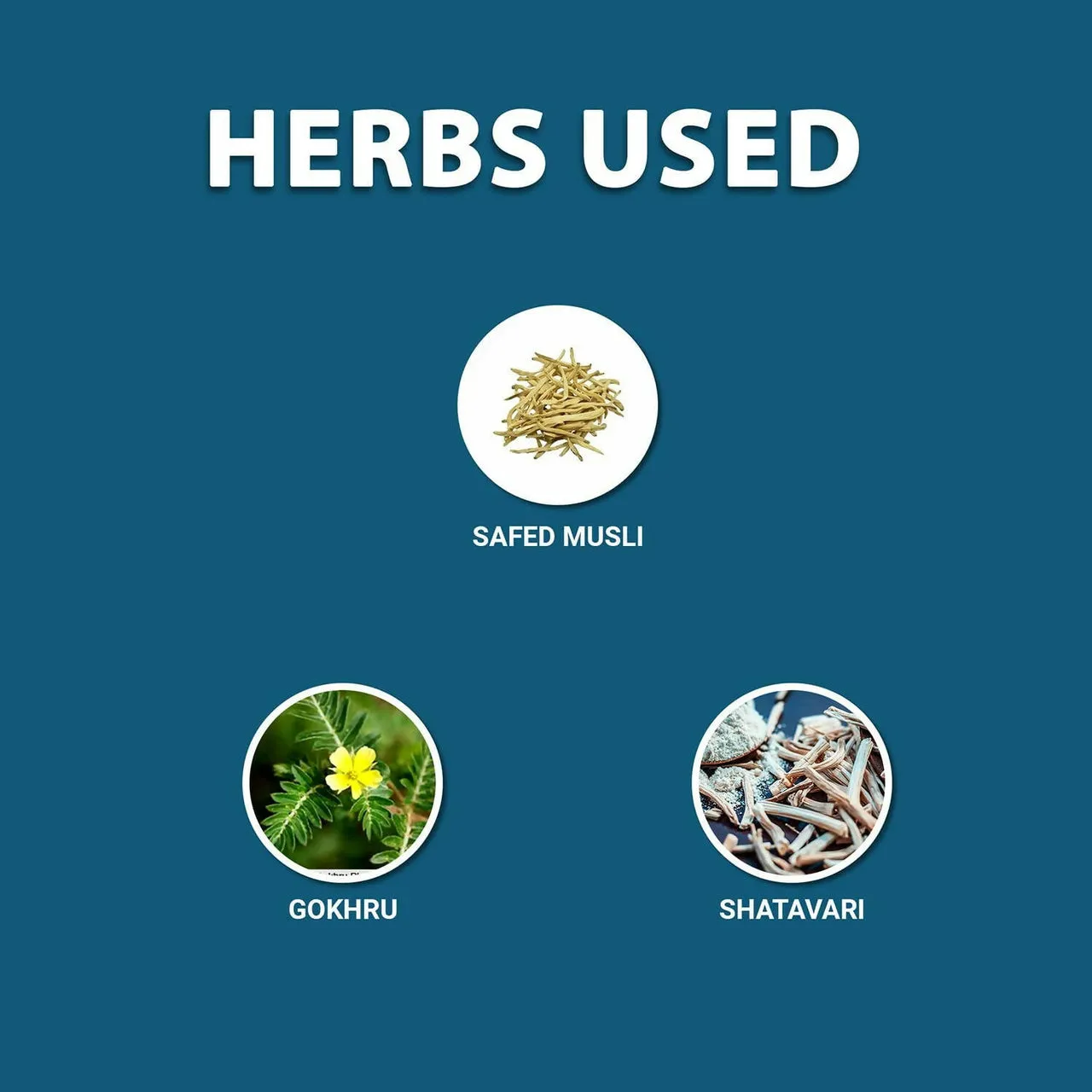 Aadar Power Build Safed Musli, Gokhru, Shatavari Capsules - Image 4