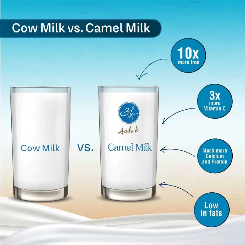 Aadvik Camel Milk Powder (Freeze Dried) - Image 4