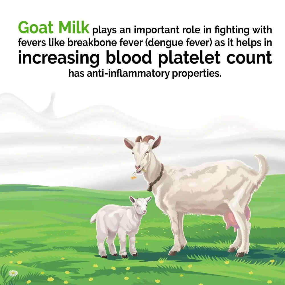 Aadvik Goat Milk Powder - Image 4
