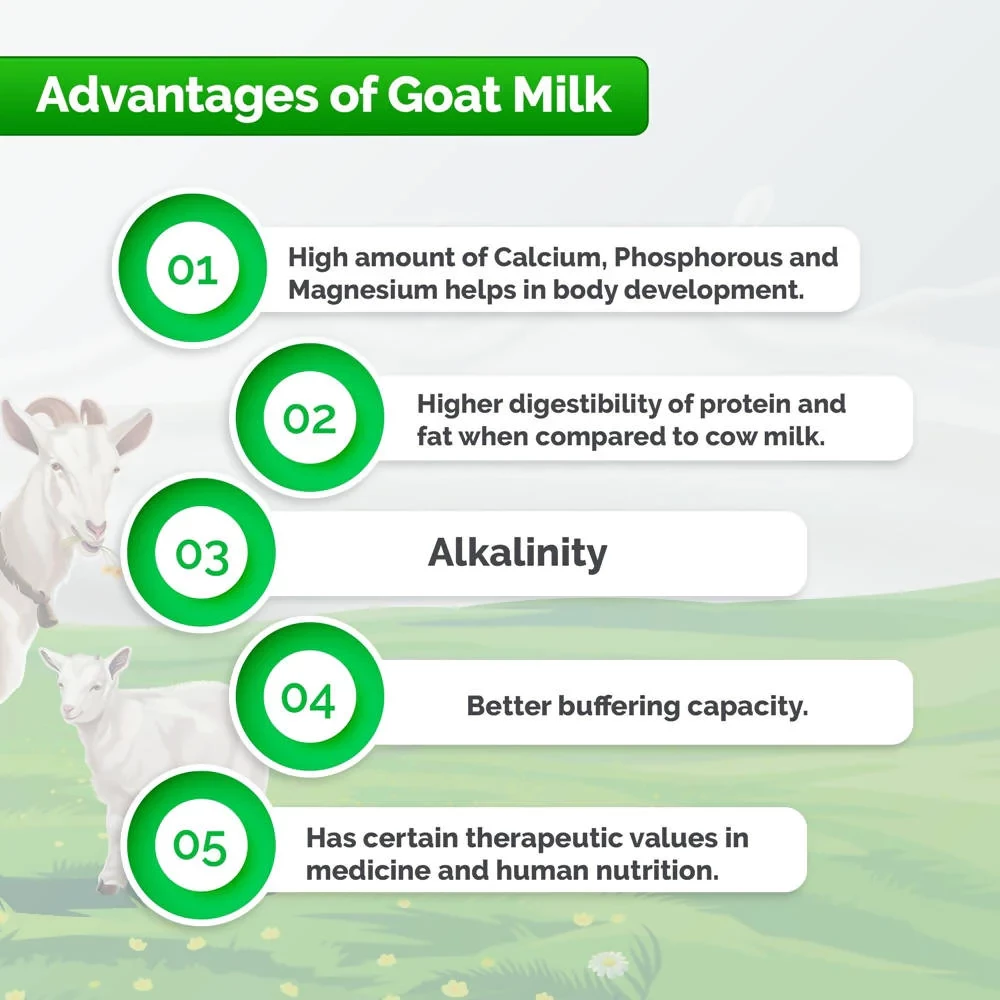 Aadvik Goat Milk Powder - Image 5