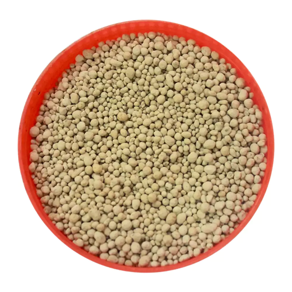 Ajwain Pachak Nimbu