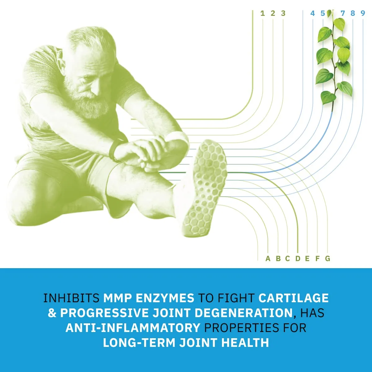 Alchem Life Flexiqule Capsules - Image 3