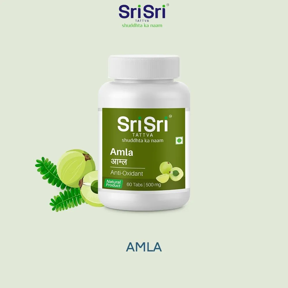 Sri Sri Tattva Amla Anti Oxidant - Image 2