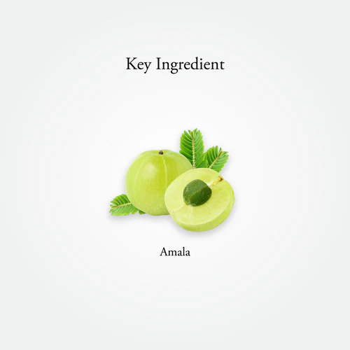 Amla Capsules - Image 6