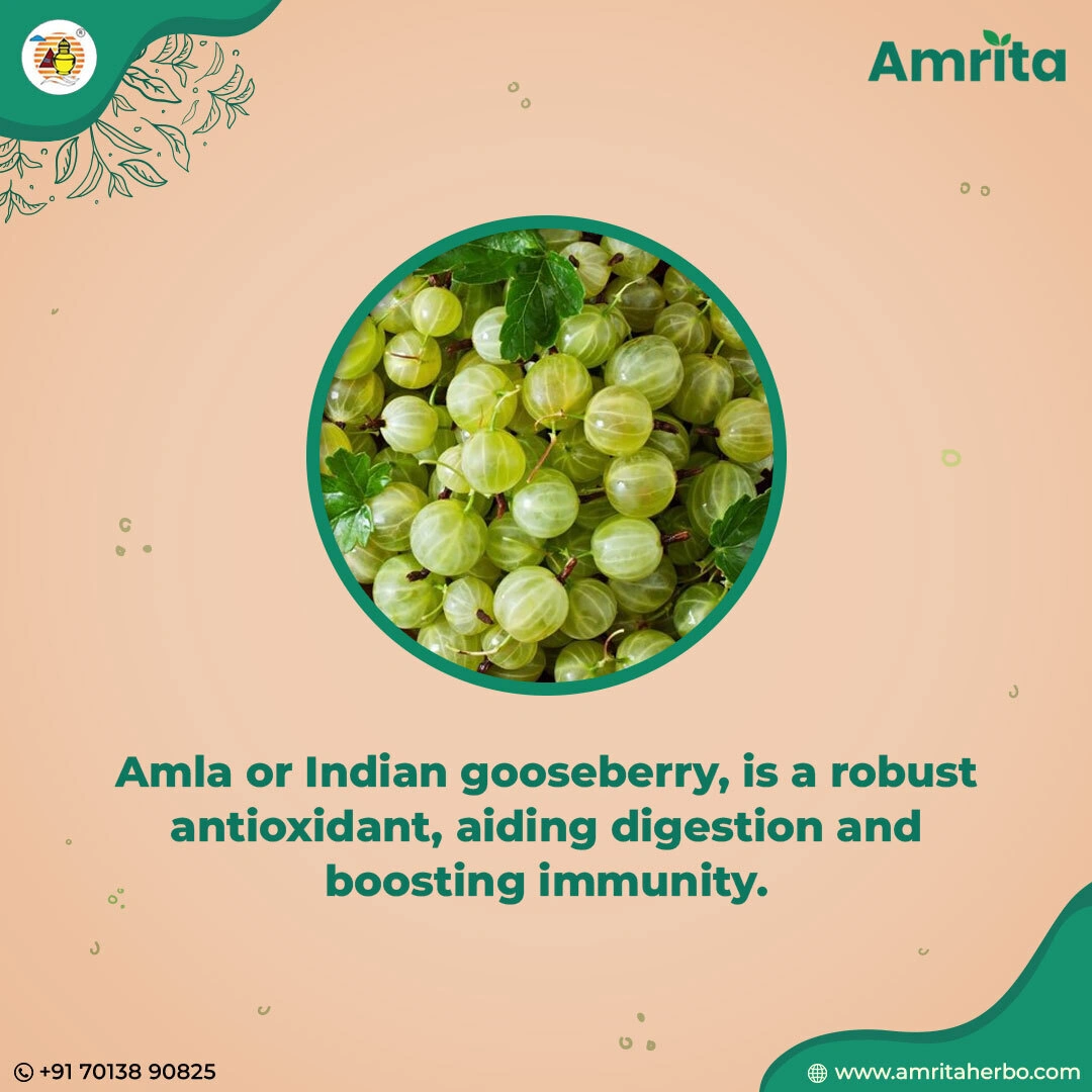 Amrita Amla Churn - Image 5