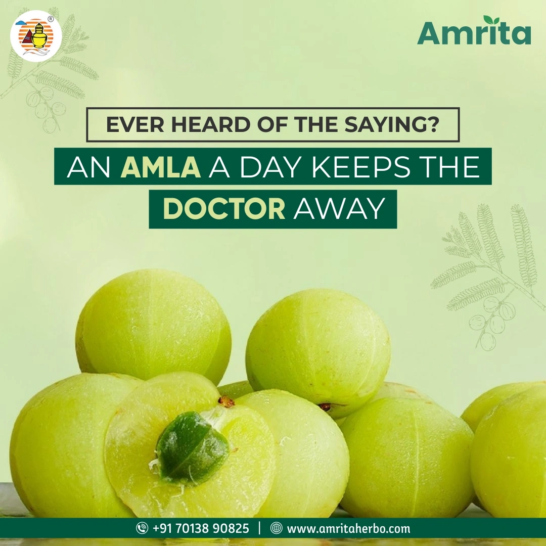 Amrita Amla Churn - Image 6