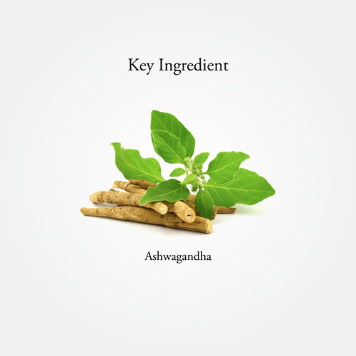 Ashwagandha Capsules - Image 6