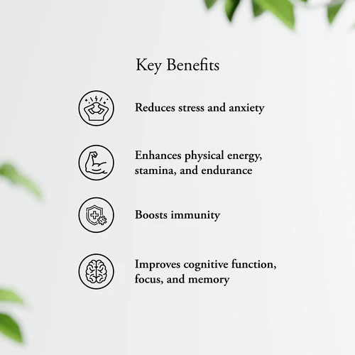 Ashwagandha Capsules - Image 7