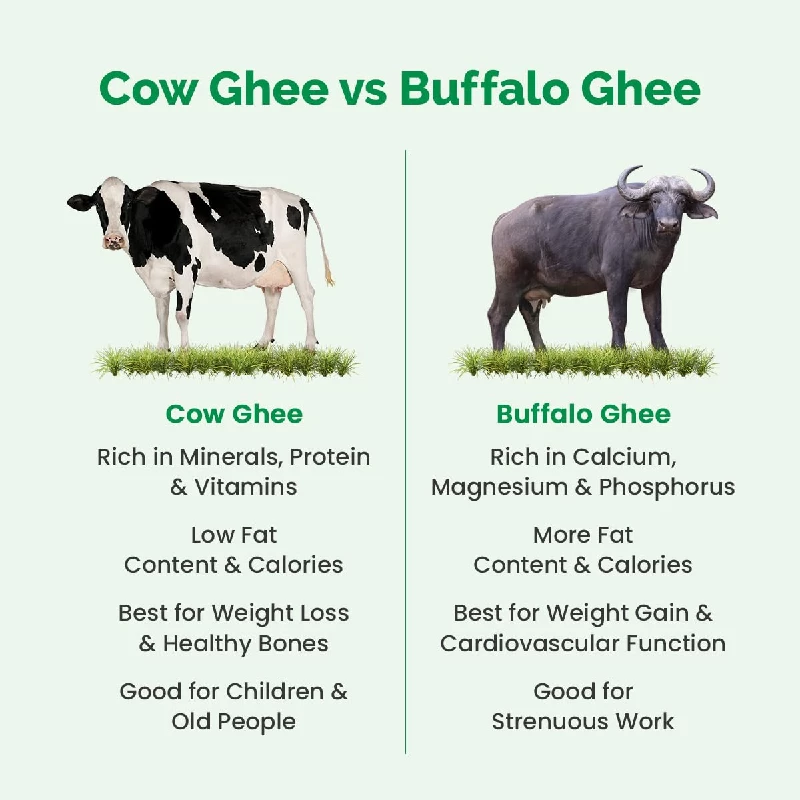 Auric Bilona Cow Ghee - Image 3
