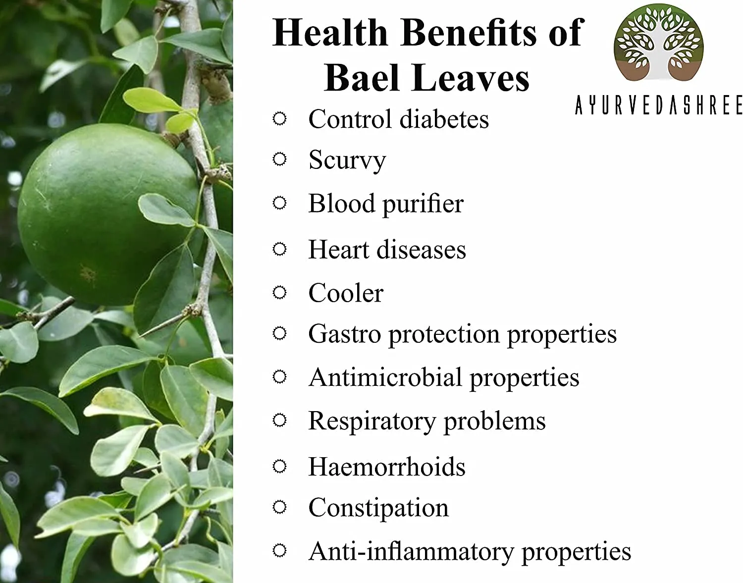 Ayurvedashree Bael Leaves Powder - Image 4