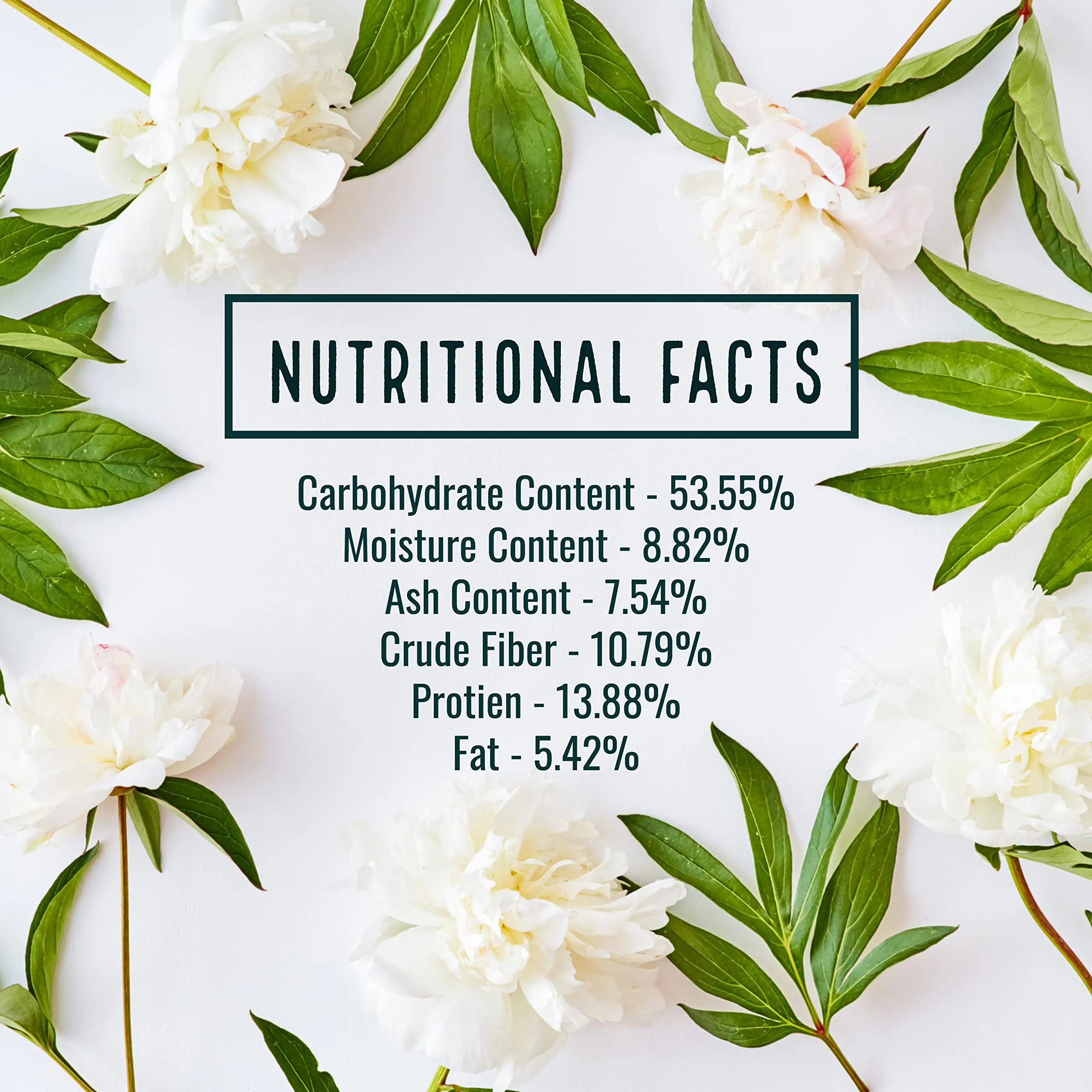 Ayurvedashree Cissus 500mg Capsules - Image 2