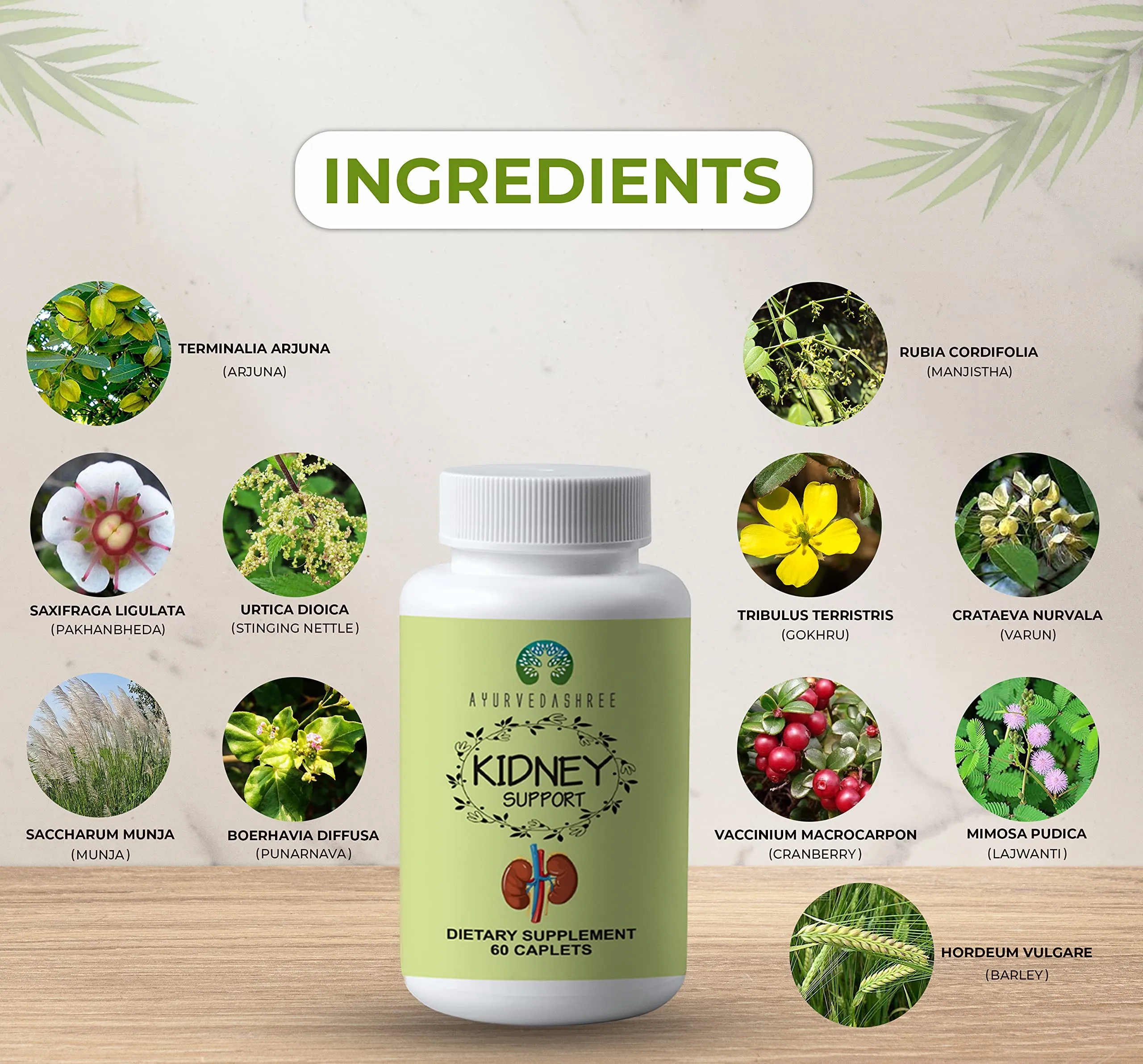 Ayurvedashree Kidney Support Caplets - Image 4