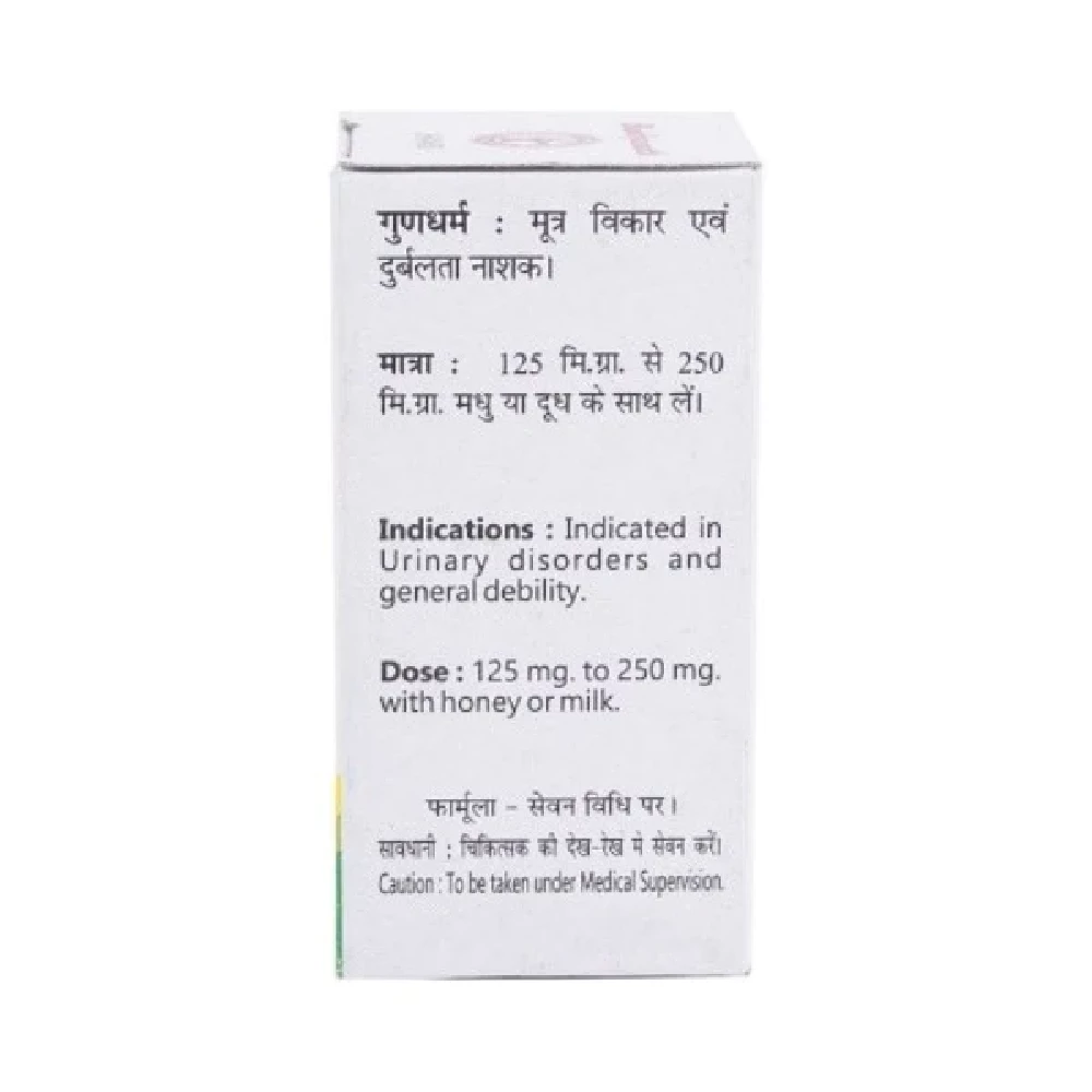 Baidyanath Jhansi Vanga Bhasma | Ayurvedic Formulation | Supports Reproductive & Urinary Health-3