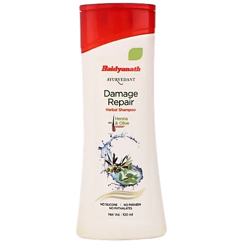 Baidyanath Damage Repair