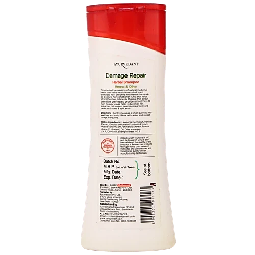 Baidyanath Damage Repair - Image 2