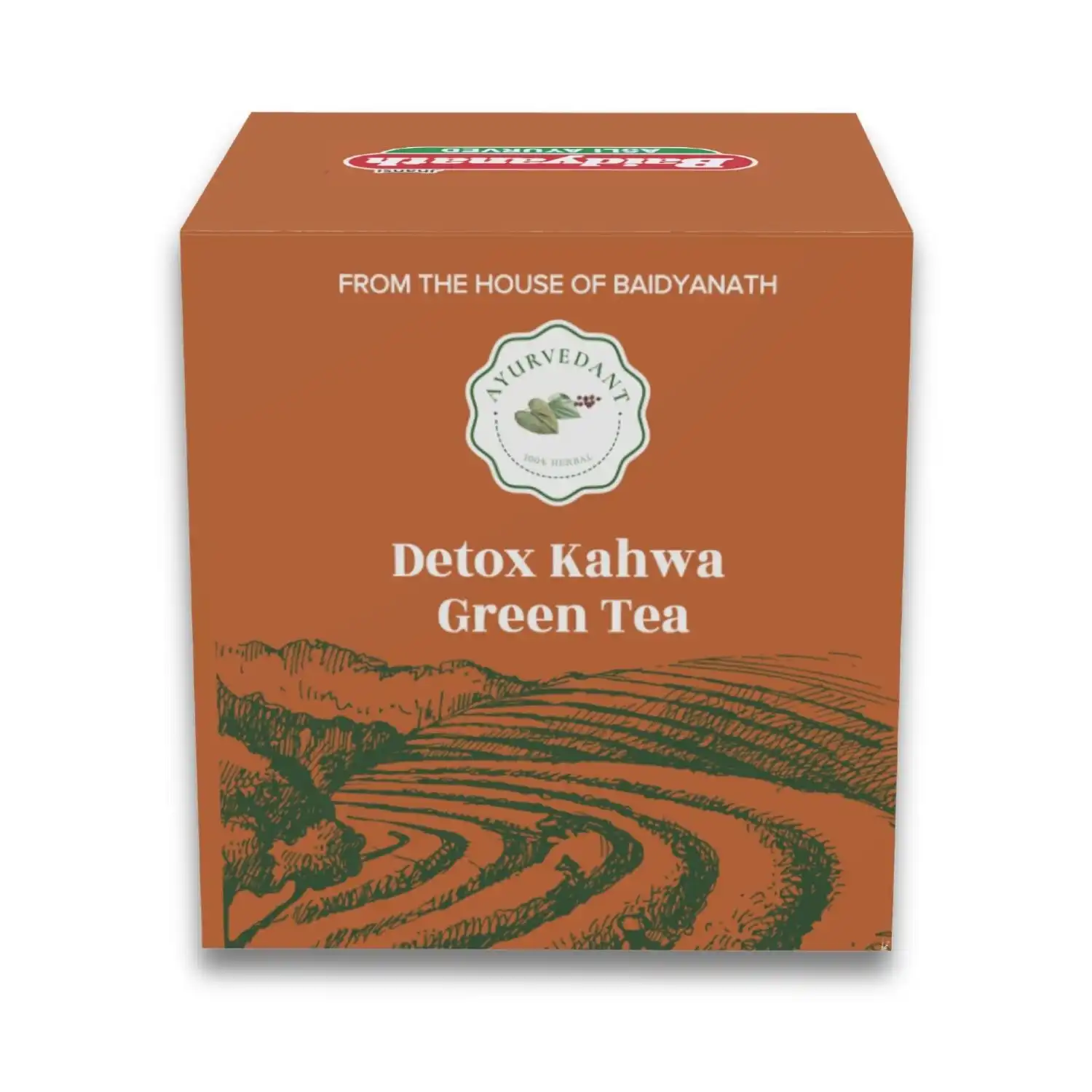 Baidyanath-Detox-25-Tea-Bag-1.webp