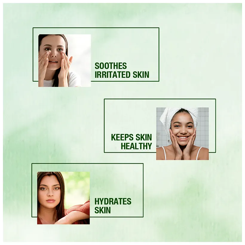 Bakson's Homoeopathy Sunny Herbals Aloe Vera Skin Gel - Image 4