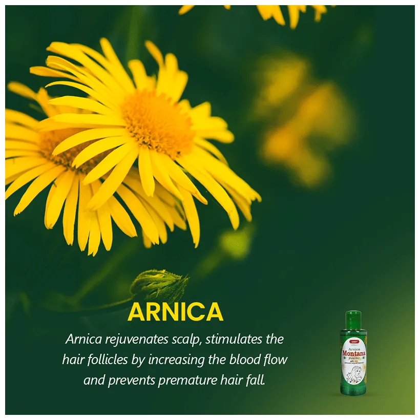 Bakson's Homoeopathy Sunny Herbals Arnica Montana Hair Oil - Image 3