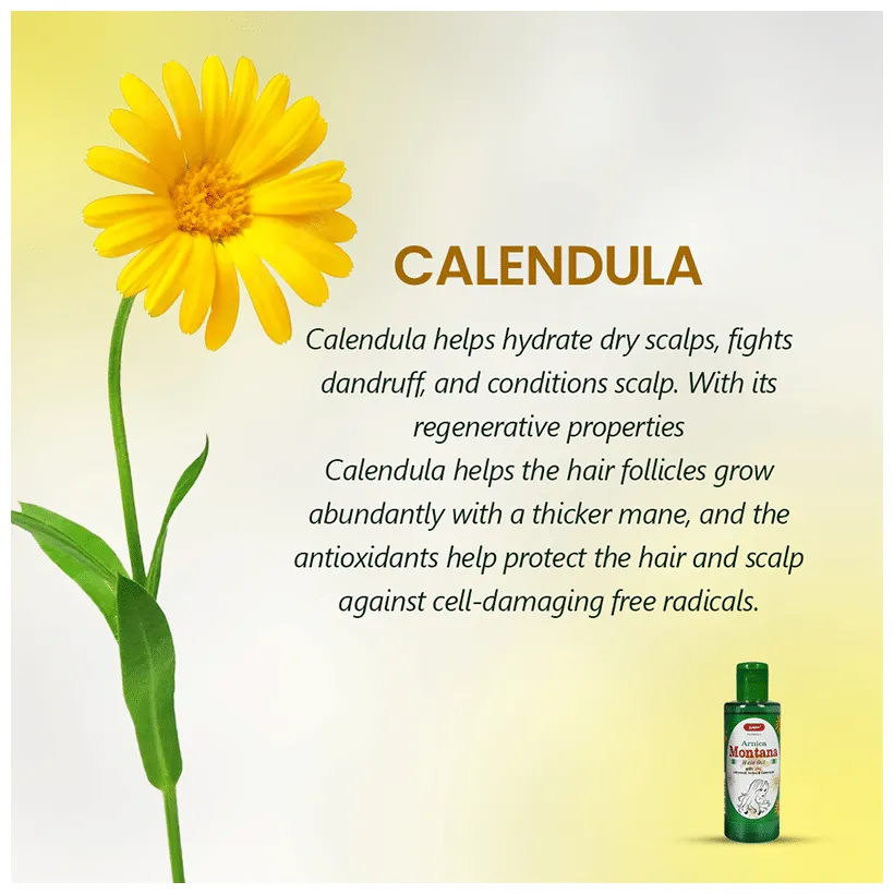 Bakson's Homoeopathy Sunny Herbals Arnica Montana Hair Oil - Image 5