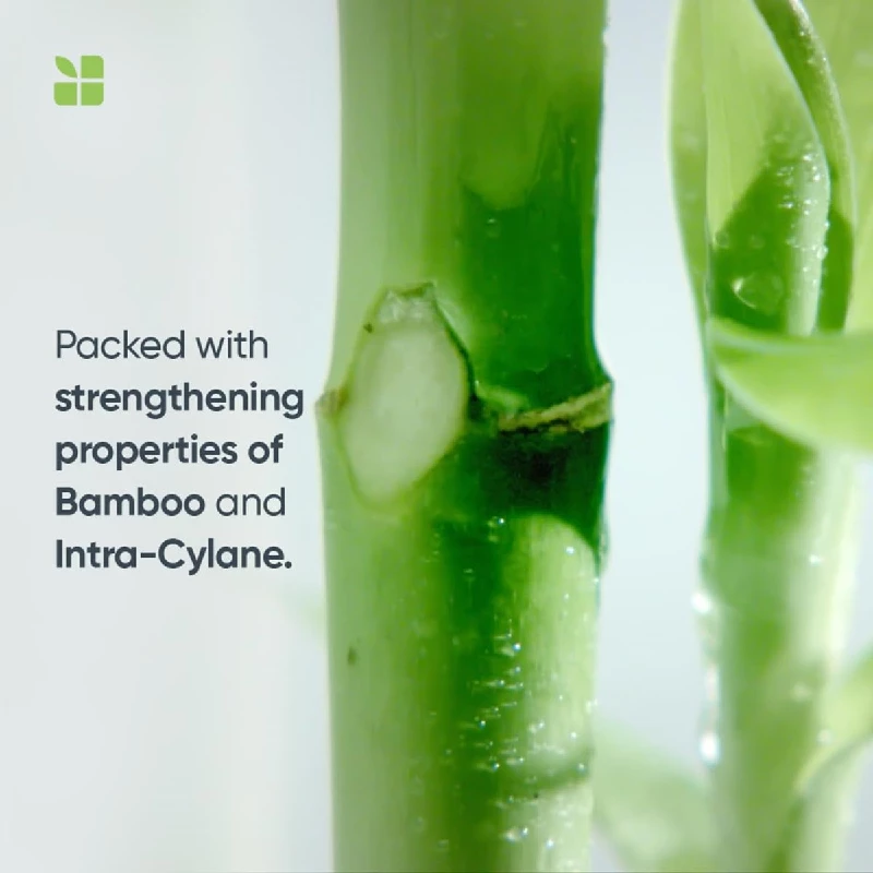 Biolage Professional Fiberstrong Anti-Breakage Shampoo & Conditoner - Image 3
