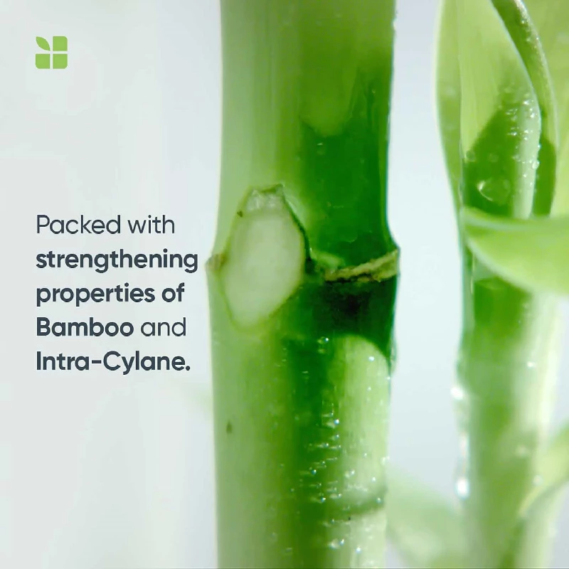 Biolage Professional Fiberstrong Anti-Breakage Shampoo - Image 3