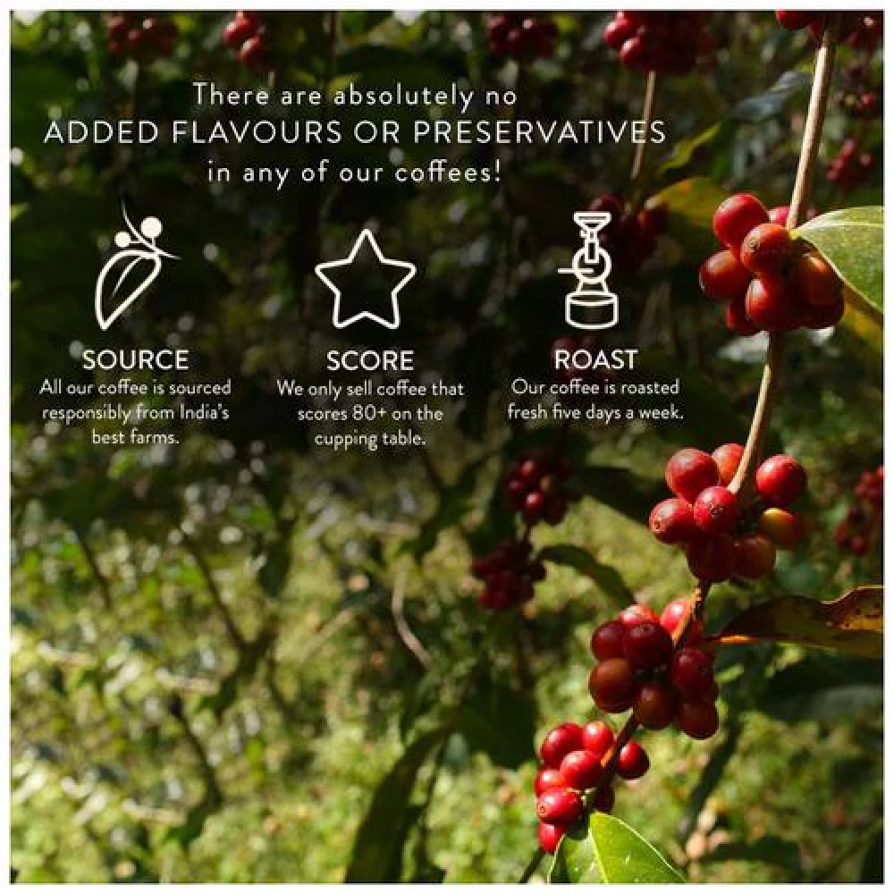 Blue Tokai Vienna Roast Moka Pot Coffee - 100% Arabica - Image 8