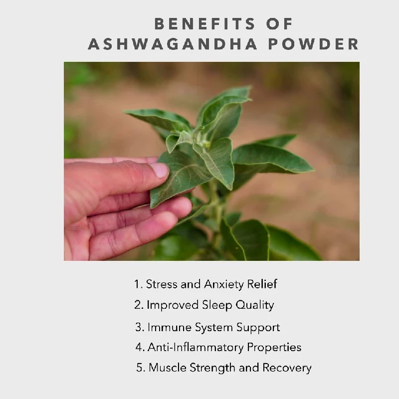 Carmel Organics Combo of Ashwagandha Powder, Shatavari Powder and Mucuna Powder - Image 3
