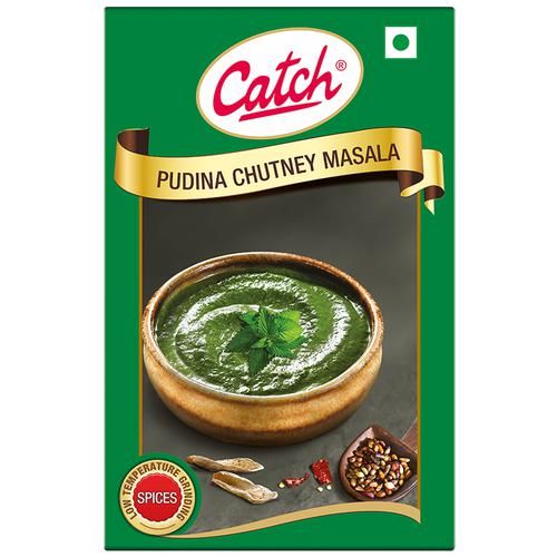 Catch Pudina Chutney Masala - Enhances Flavour - Image 2