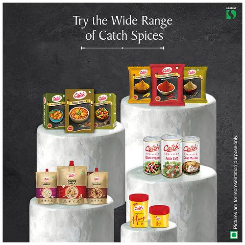 Catch Sambhar Masala Powder - Exotic - Image 8