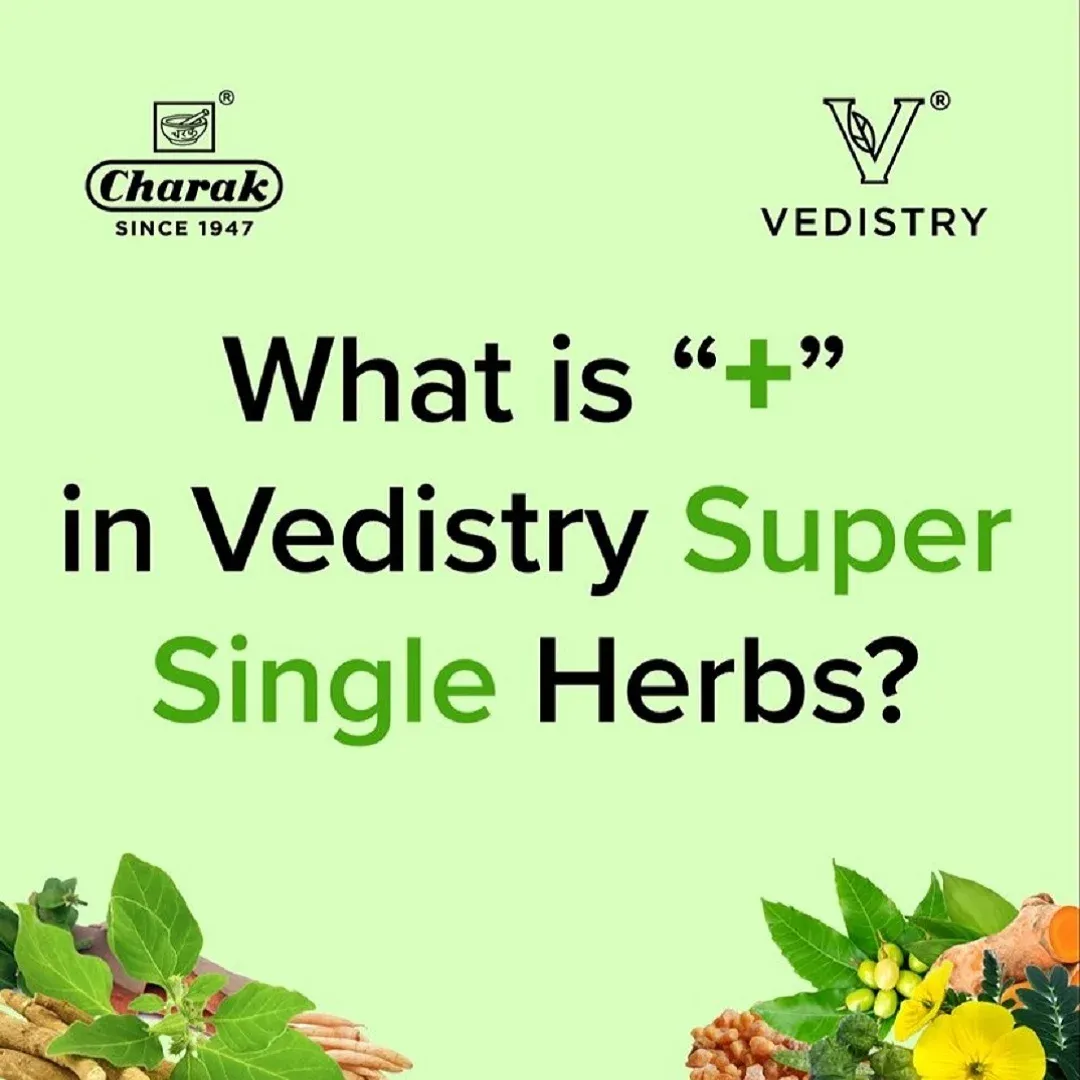 Charak Pharma Vedistry Amla+ - Image 2