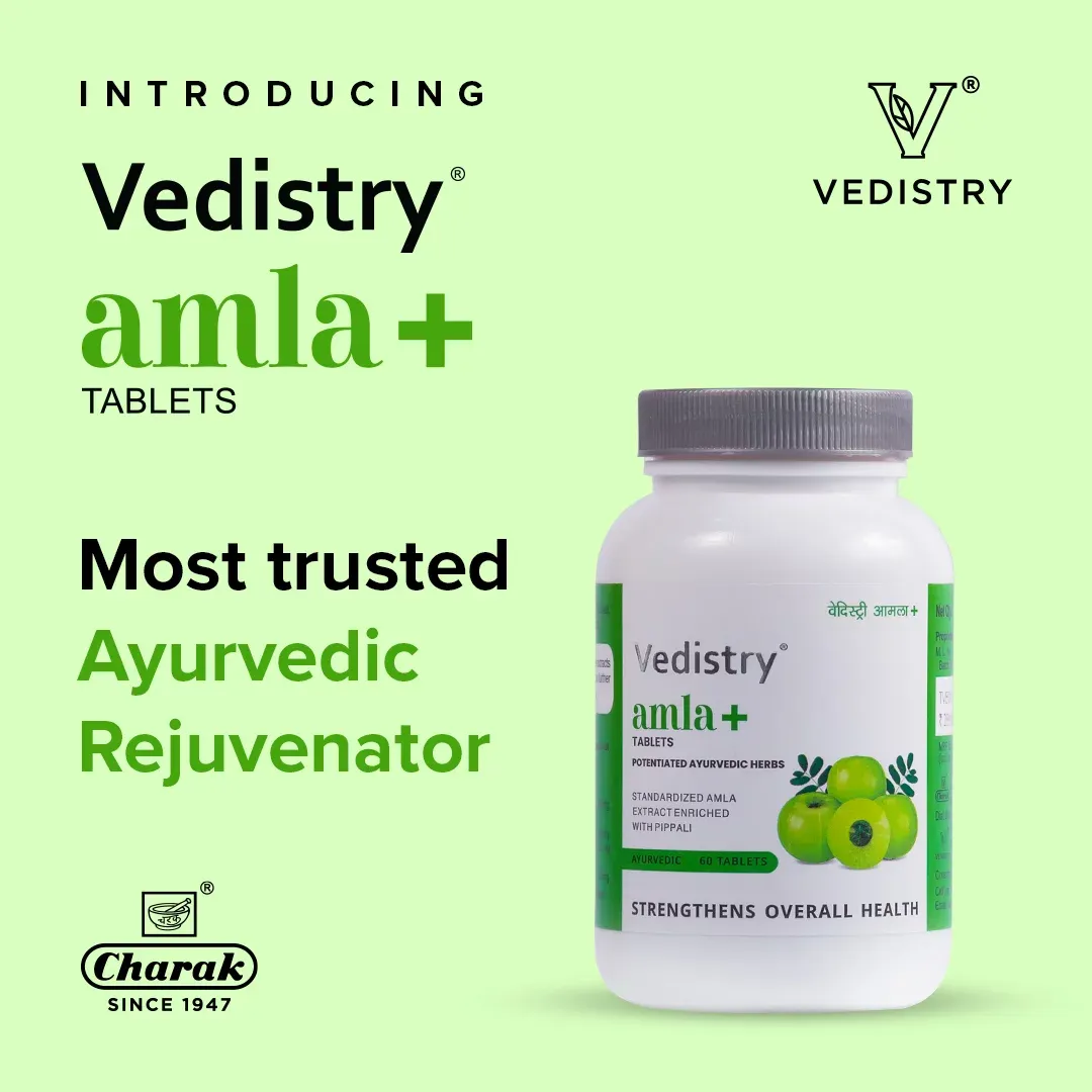 Charak Pharma Vedistry Amla+ - Image 3