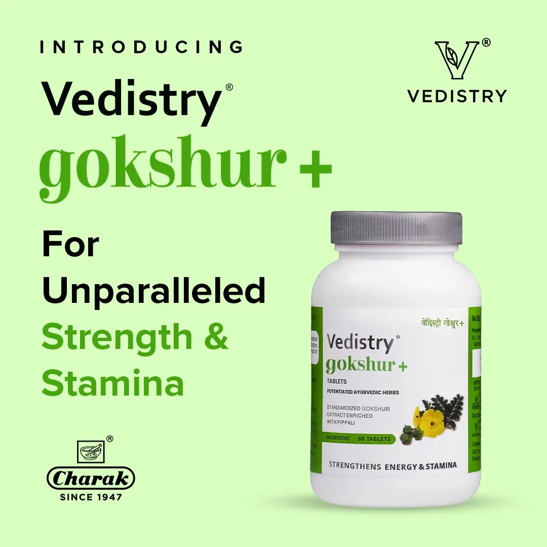 Charak Pharma Vedistry Gokshur+ - Image 2