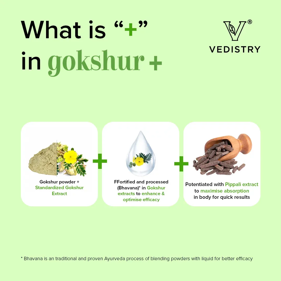 Charak Pharma Vedistry Gokshur+ - Image 3
