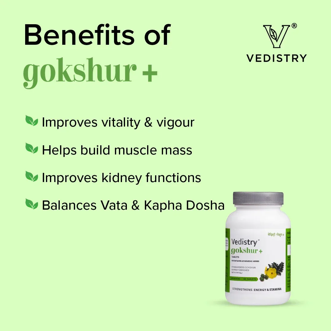 Charak Pharma Vedistry Gokshur+ - Image 4