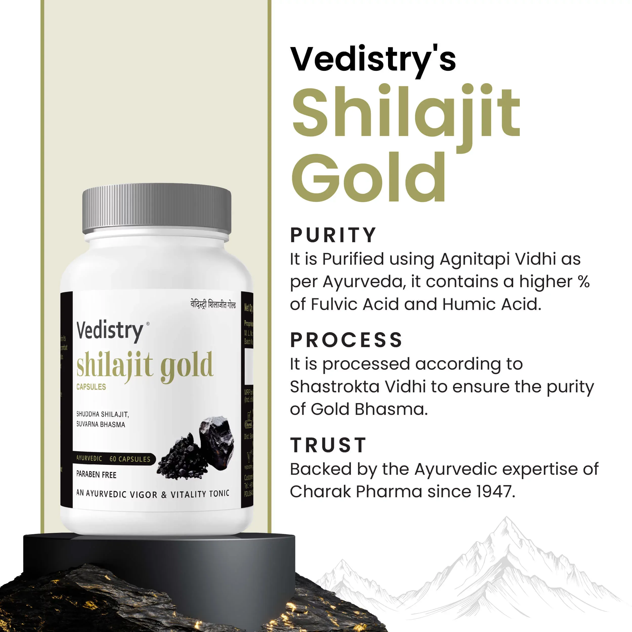 Charak Pharma Vedistry Shilajit Gold - Image 3