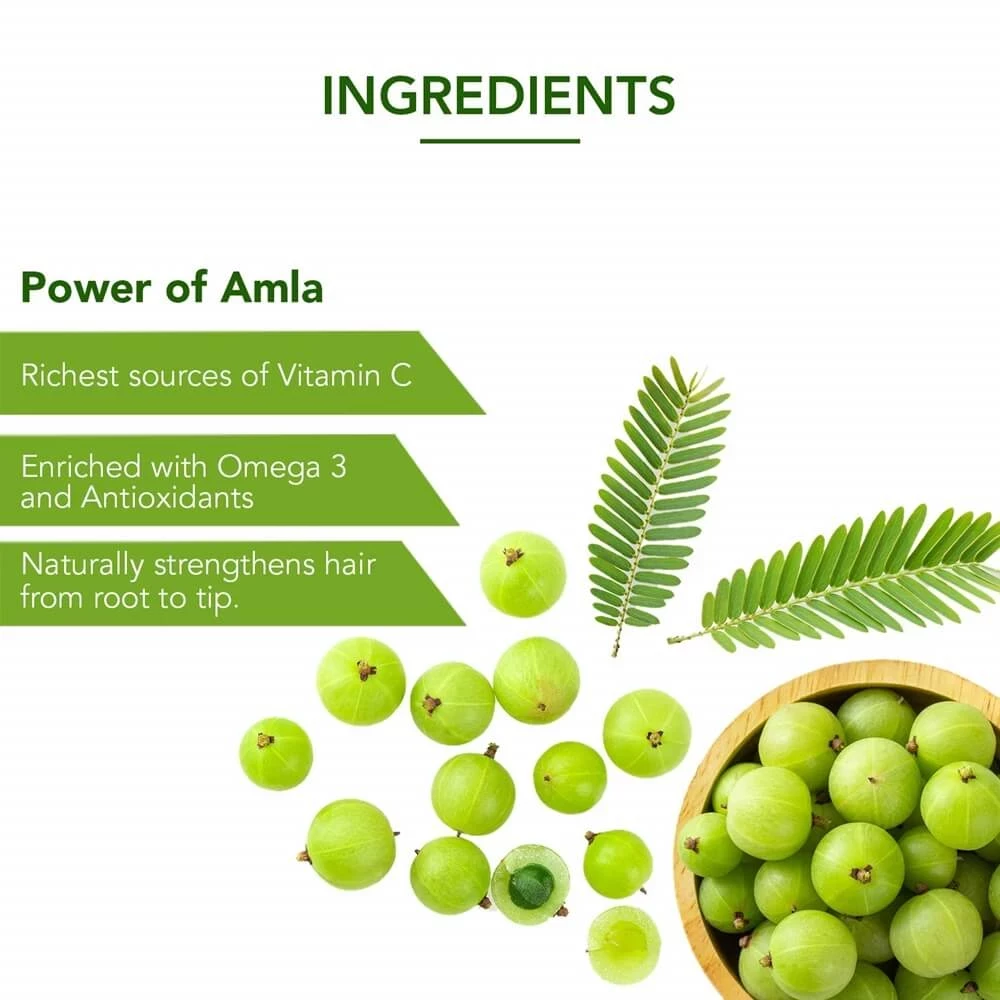 Dabur Amla Hair Oil - Image 2