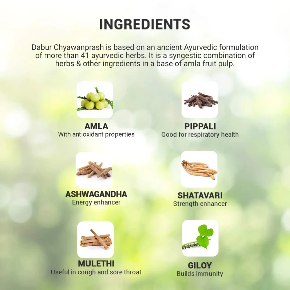 Dabur Chyawanprash - Image 2