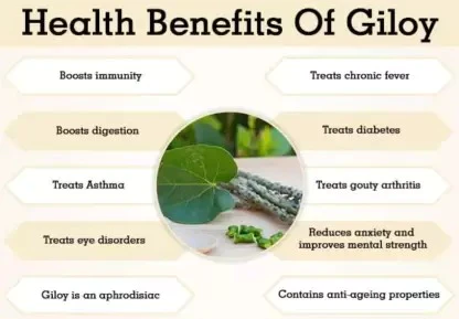 Dabur Giloy Tablets Immunity Booster - Image 5