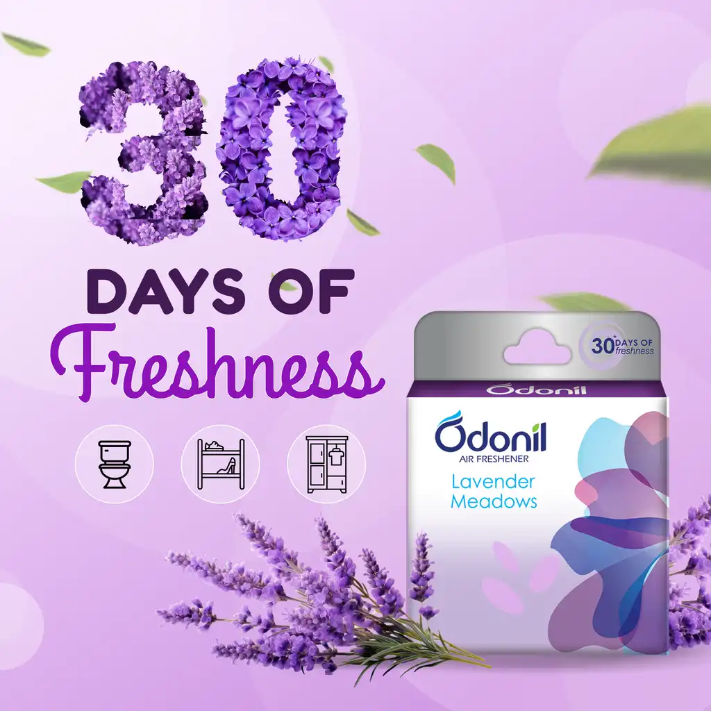 Dabur-Odonil-Air-Freshener-Blocks-Lavender-Meadows-48-g-2.webp